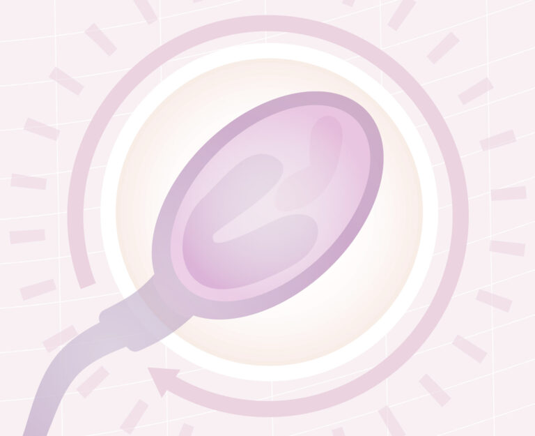 ¿Cuánto tardan los espermatozoides en formarse?
