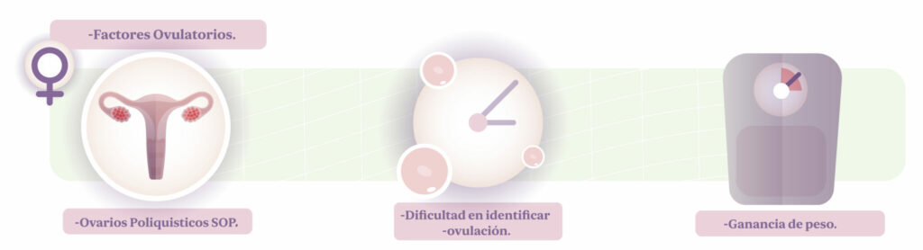 Factores ovulatorios - infertilidad secundaria