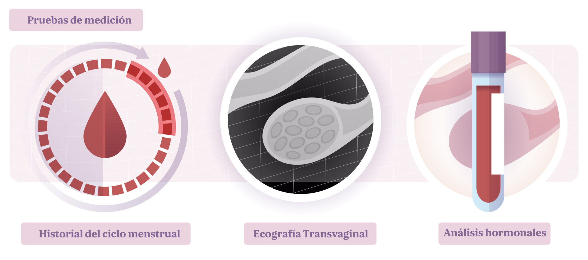 Reserva ovárica qué es y cómo conocerla Next Fertility