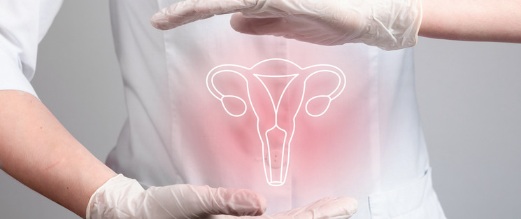 malformaciones uterinas