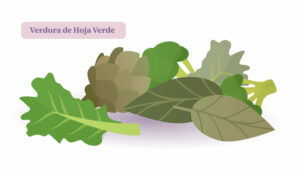 Ácido Fólico verdura de hoja verde