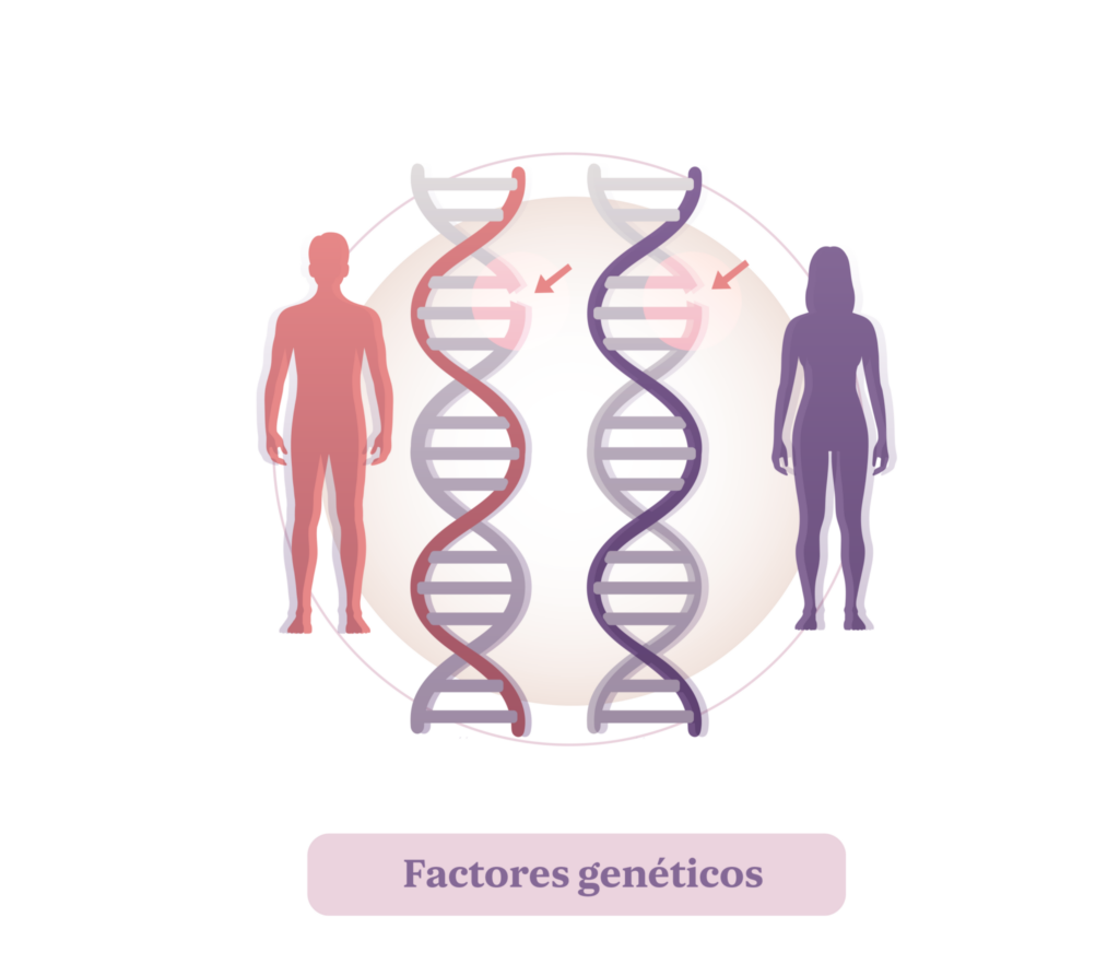 Aborto. Factores genéticos.