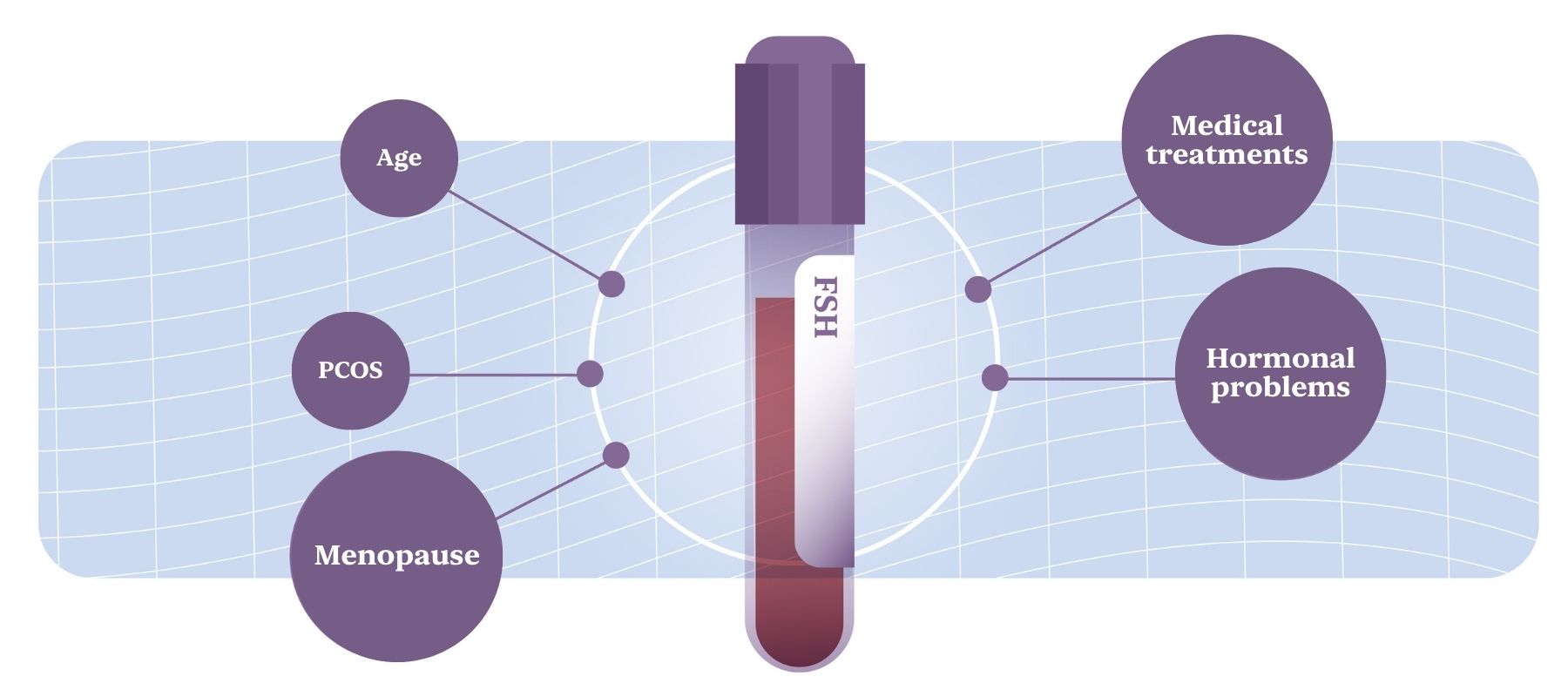 FSH hormone