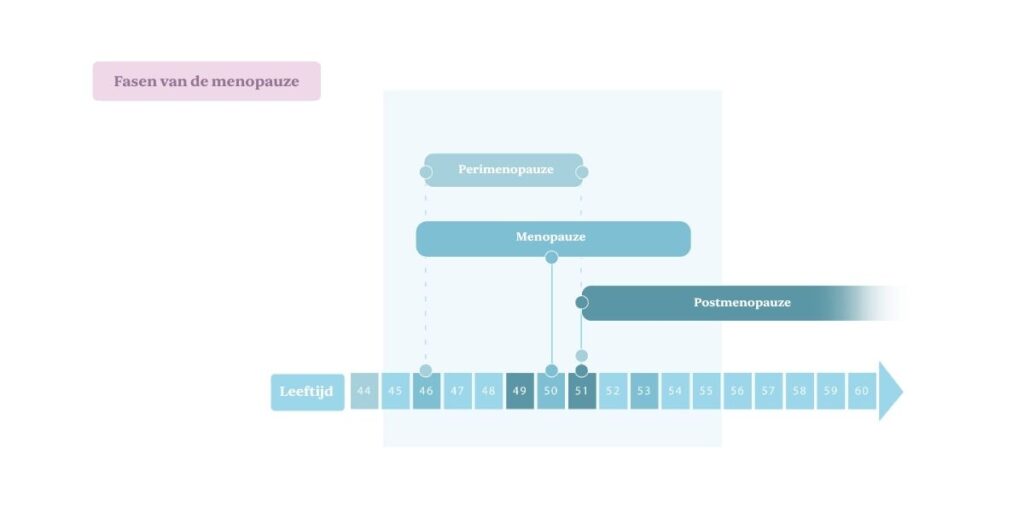 Fasen van de menopauze