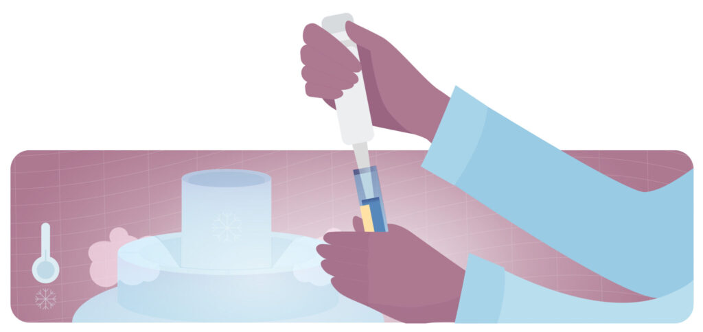 Congelación de óvulos